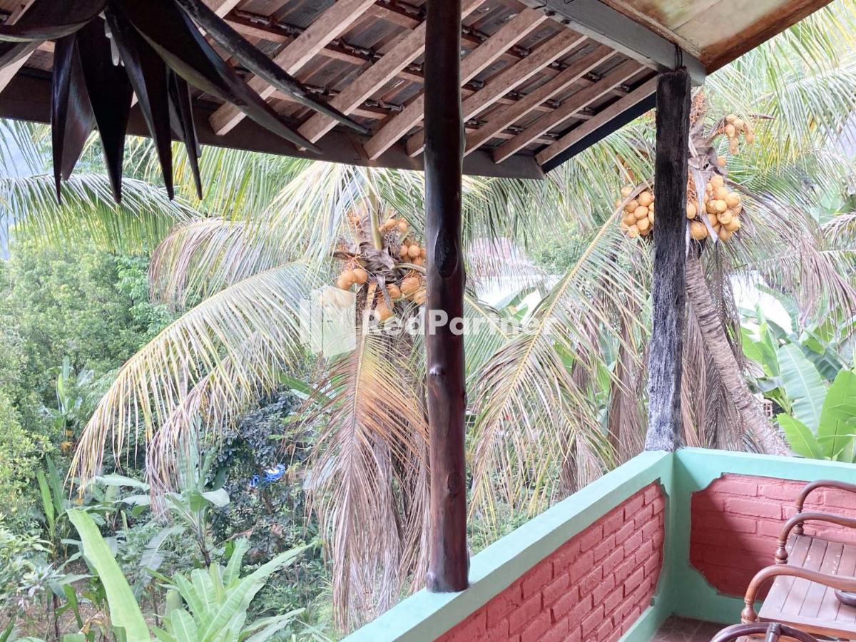 Taman Ayu Homestay Munduk Mitra Reddoorz מראה חיצוני תמונה